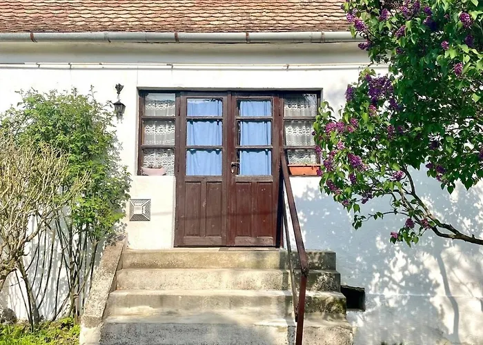 펜션 Tulipanos Lada Vendeghaz